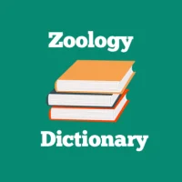 Zoology Dictionary Offline